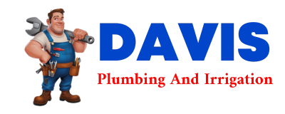 Trusted plumber in TERRA CEIA